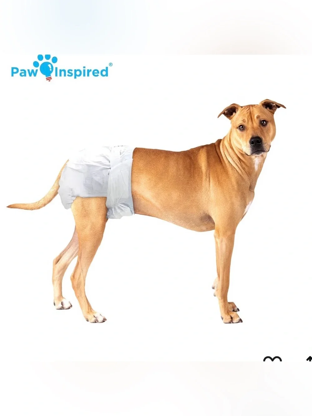 Washable (2)/Disposable Dog/Kids Adjustable Diapers (26) and Pads (34)